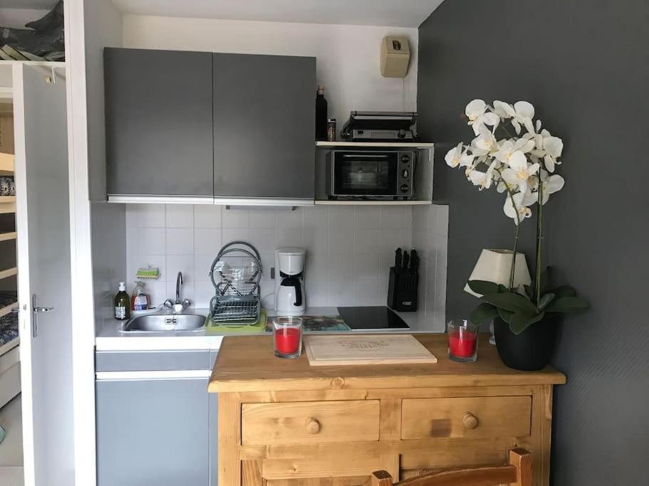 Appartement Aux Pieds Des Remontees Mecaniques Bagnères-de-Luchon Εξωτερικό φωτογραφία