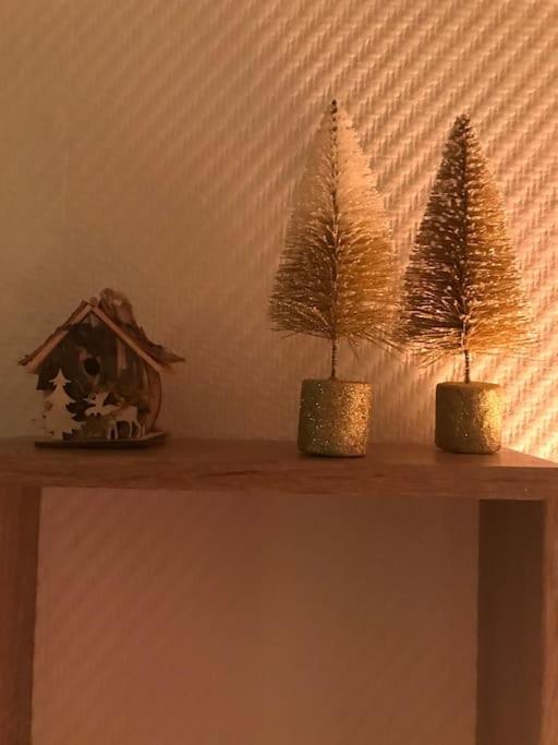Appartement Aux Pieds Des Remontees Mecaniques Bagnères-de-Luchon Εξωτερικό φωτογραφία